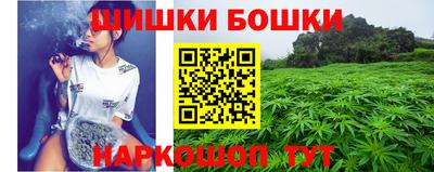 ПСИЛОЦИБИНОВЫЕ ГРИБЫ Заводоуковск