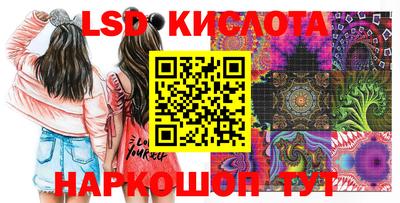 ПСИЛОЦИБИНОВЫЕ ГРИБЫ Заводоуковск
