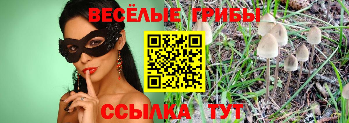 Галлюциногенные грибы Psilocybe Магнитогорск